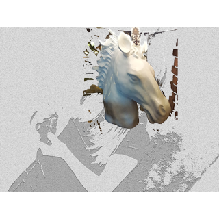 Hlava Koňa